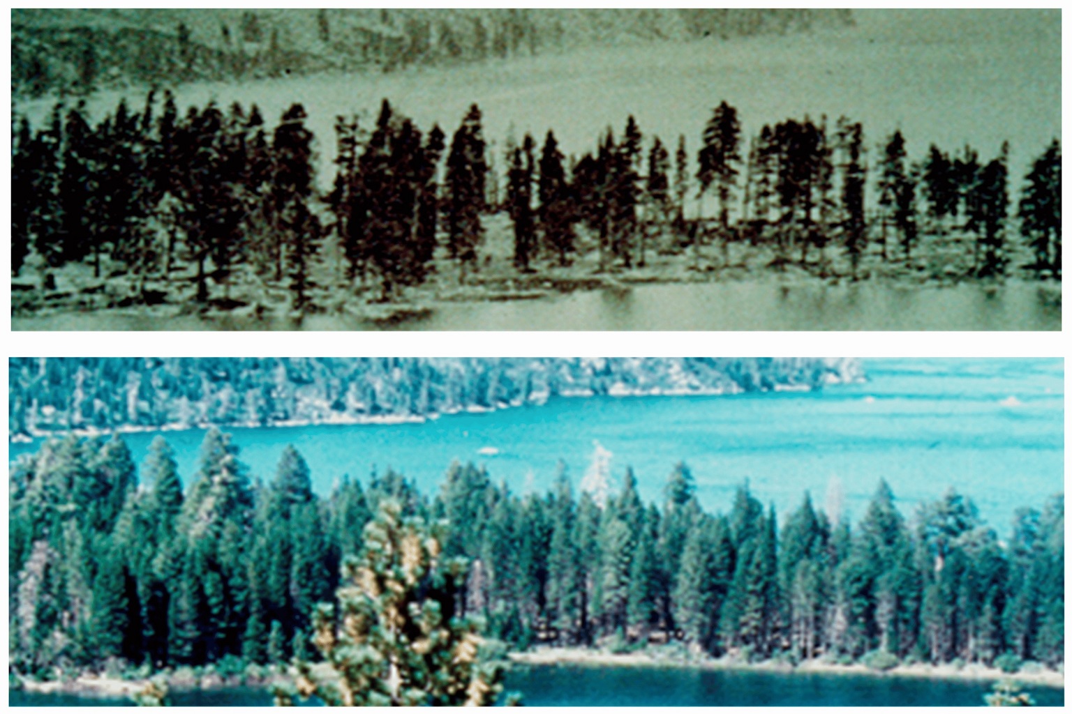 Fixing forests or fueling fires? Scientists split over active management 2 Photographs show how the density of trees at California’s Emerald Bay State Park has increased between 1883 and 2018.