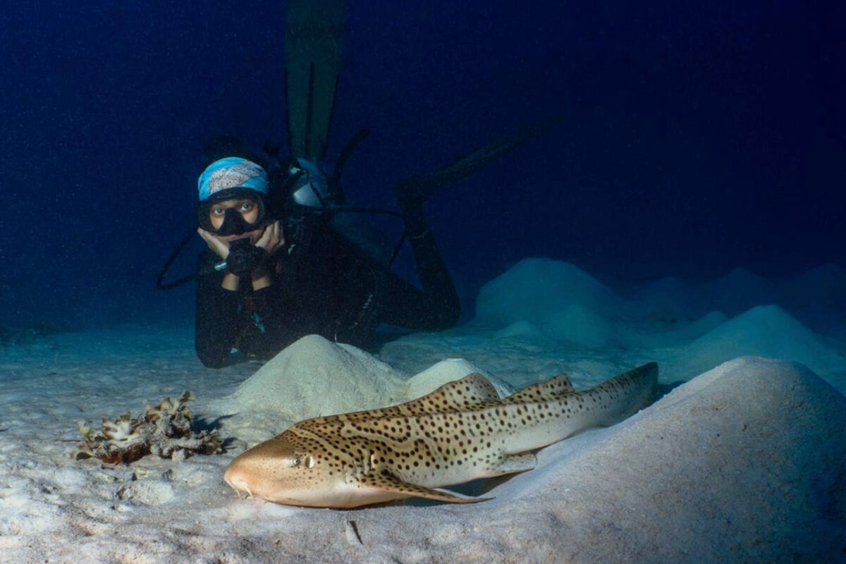 Can we undo extinction? A growing effort to restore lost sharks 24 Nesha Ichida looks on at “Seren” as he rests on the bottom of the Sorido Lagoon after his release at the Kri Nursery. Photo by MV Erdmann