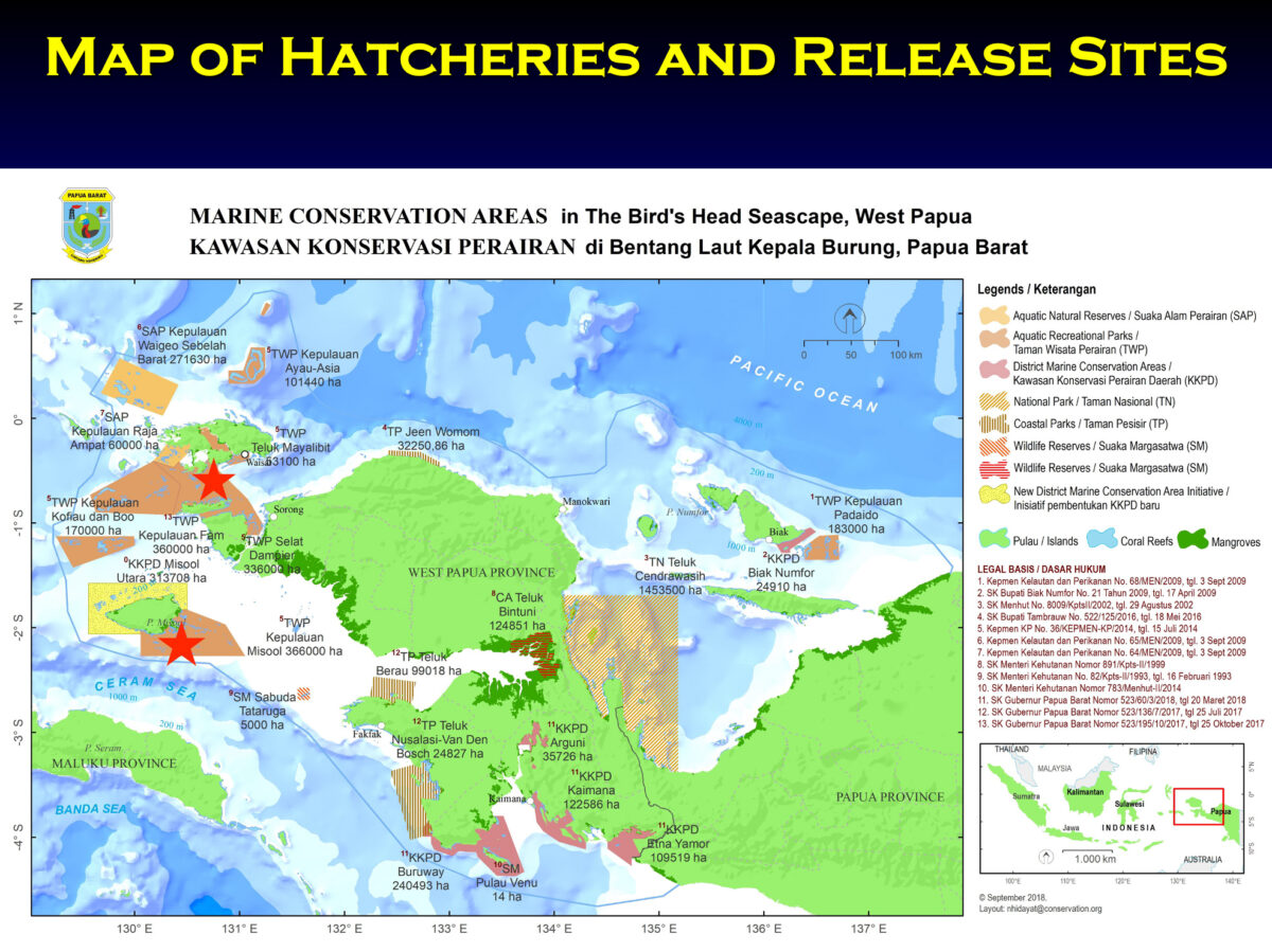 Can we undo extinction? A growing effort to restore lost sharks 17 Map of marine protected areas (MPAs) of SouthWest and West Papua showing ReShark nurseries (denoted by red stars) at Misool Foundation and Raja Ampat Research and Conservation Centre in SE Misool and Dampier Strait MPAs, respectively. Map courtesy of Konservasi Indonesia.
