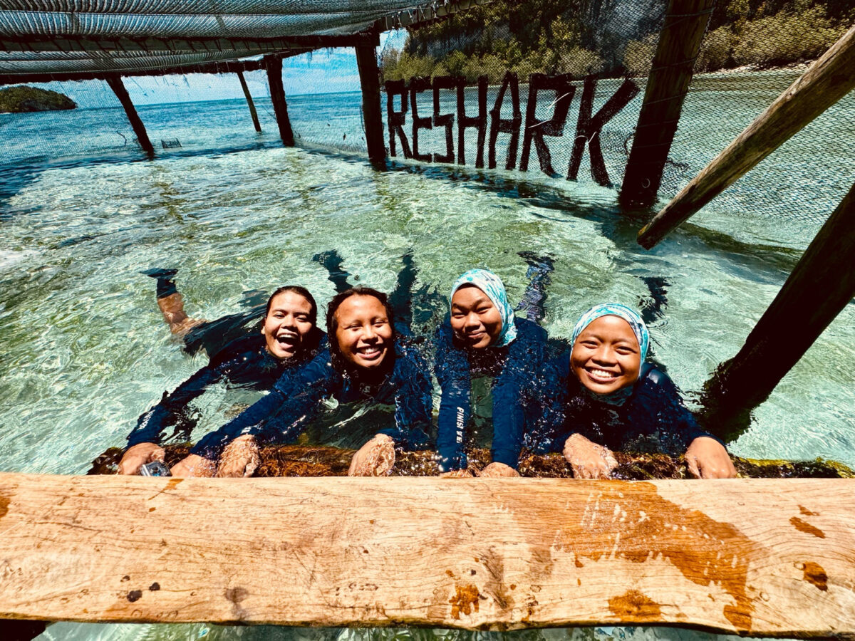 Can we undo extinction? A growing effort to restore lost sharks 10 RARCC Shark Nannies Mardia, Enun, Mary Rose and Emma relaxing after a feeding session with pups in the Kri Island sea pen. Photo by Nat Soon.