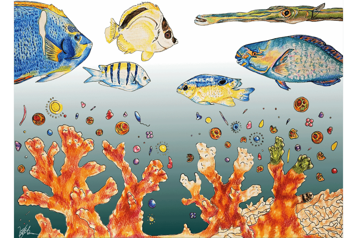 FINAL_Coralreef_fish