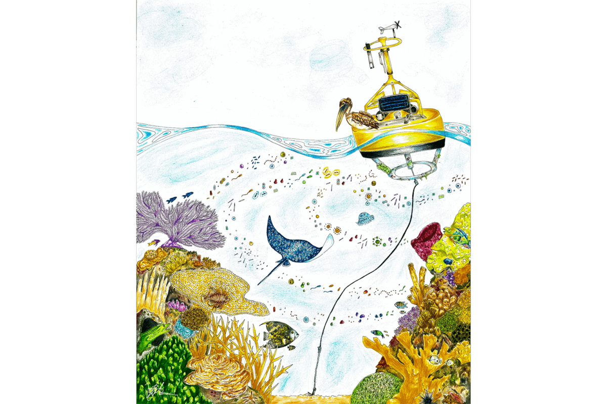 SIGNED_cleaned_FINAL_UPSprogram_Community