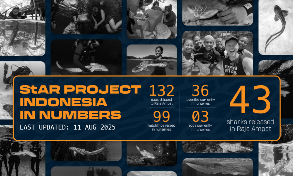 SPI IN NUMBERS - 11AUG25