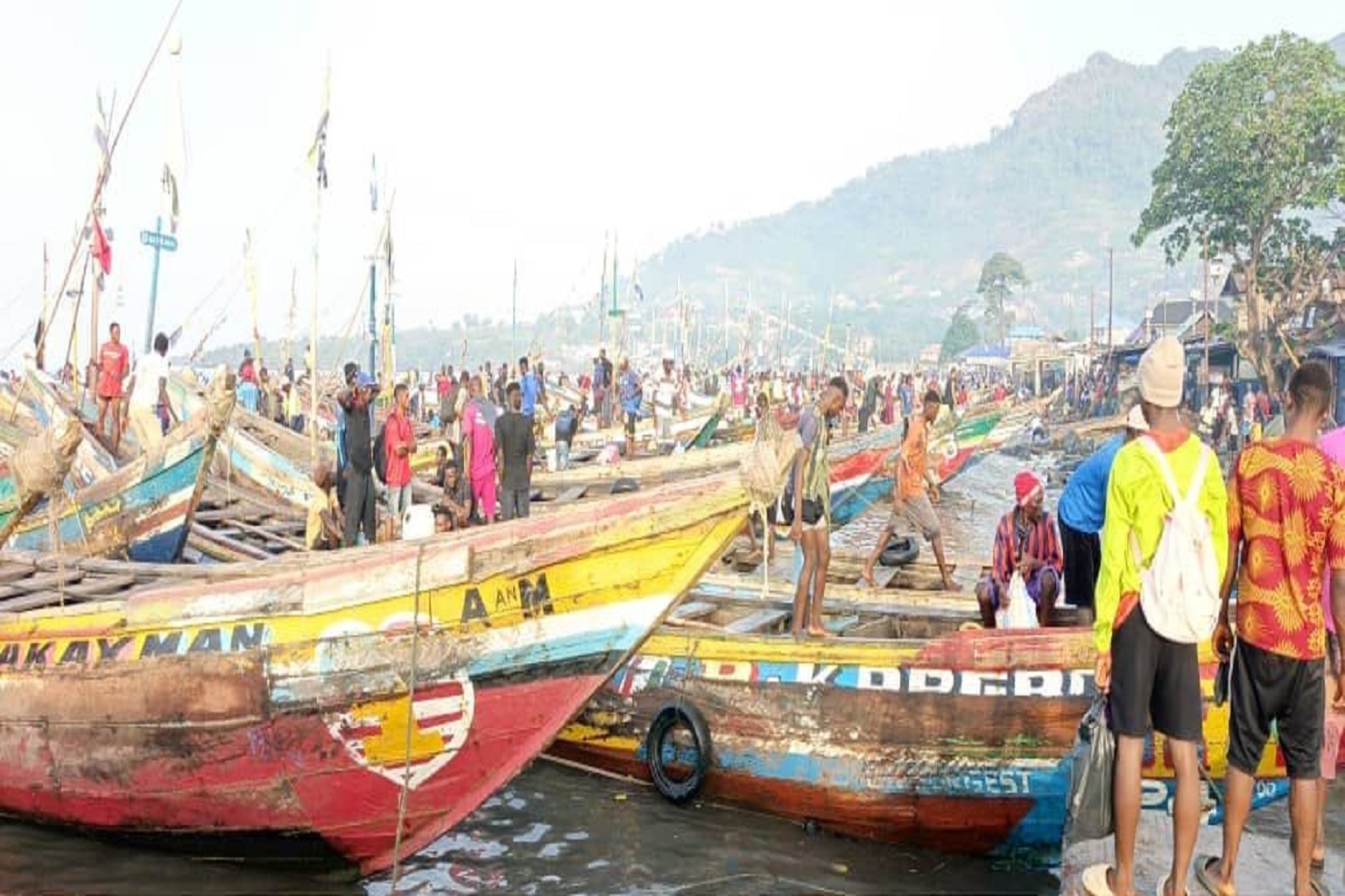Dozens of fishing boats dock at Tombo Wharf, Sierra Leona. As climate change pushes fish stocks into cooler waters, fishers in these tropical fisheries are already struggling to continue their livelihood, and are increasingly flouting fisheries regulations to get by.