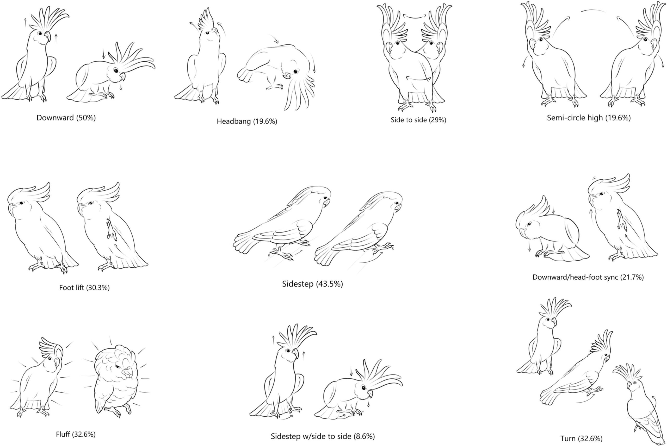 Illustration of the 10 most common recorded dance movements. Image by Zenna Lugosi, courtesy of Lubke et al., 2025 (CC-BY 4.0).