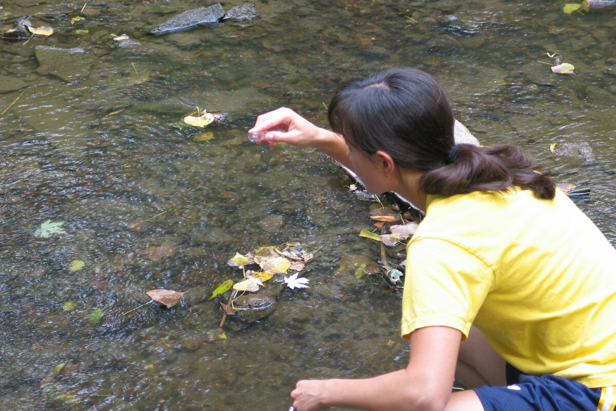 PFAS ‘forever’ chemicals found in 98% of US waters tested