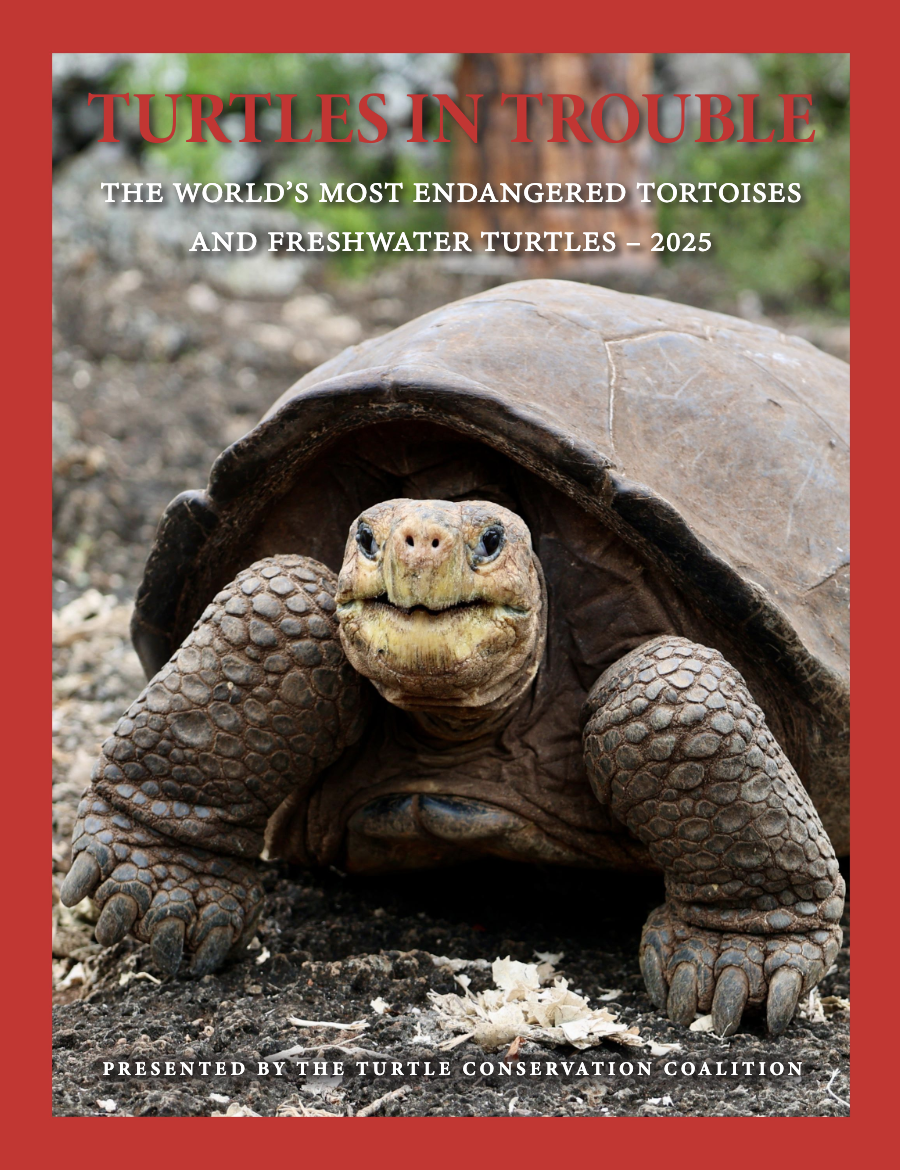 https://imgs.mongabay.com/wp-content/uploads/sites/20/2025/08/15182959/Screenshot-2025-08-15-at-1.29.28-PM.png