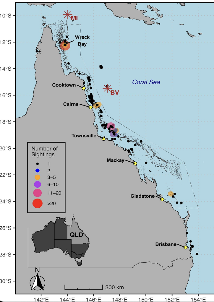 Map shows sightings of whale sharks from 2007 to 2018 off northeastern Australia. This analysis was used to help identify Wreck Bay, in the northern section of the Great Barrier Reef, as a likely aggregation site — a hypothesis that researchers confirmed with expeditions there over the last six years.