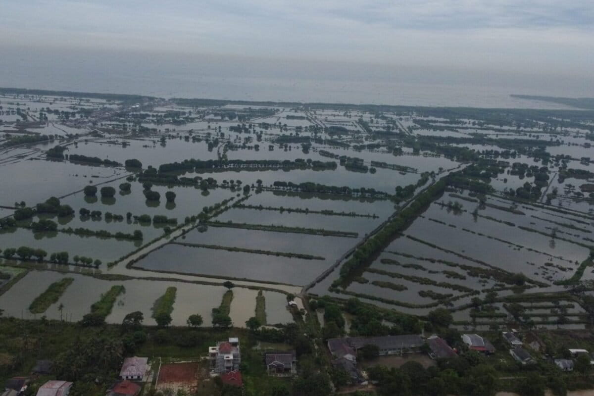 Indonesia’s aquafarm revamp sparks fears for fate of farmers and mangroves
