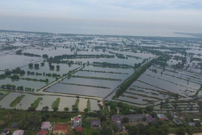 The clearing of coastal mangrove forests for aquafarms has weakened coastal resilience, as seen here in Bekasi district, West Java, the planned launch site for Indonesia’s aquafarm revitalization program. Image by Irfan Maulana/Mongabay Indonesia.