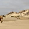Elephants are one of the species that have bounced back after Namibia’s independence in 1990.
