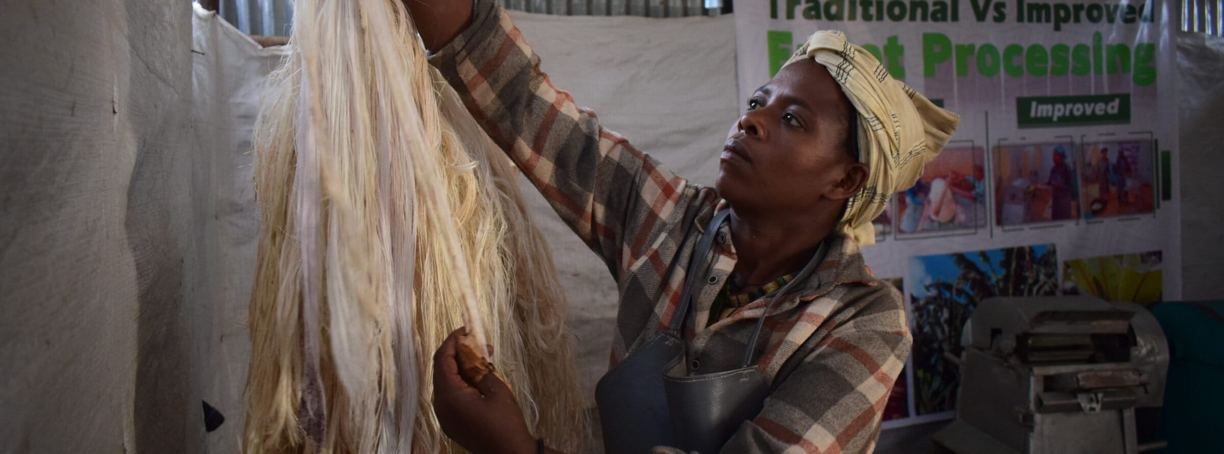 After separating the edible pulp, the leftover enset fibers are collected and used to make durable household items like ropes, mats and baskets. Image by Solomon Yimer for Mongabay.