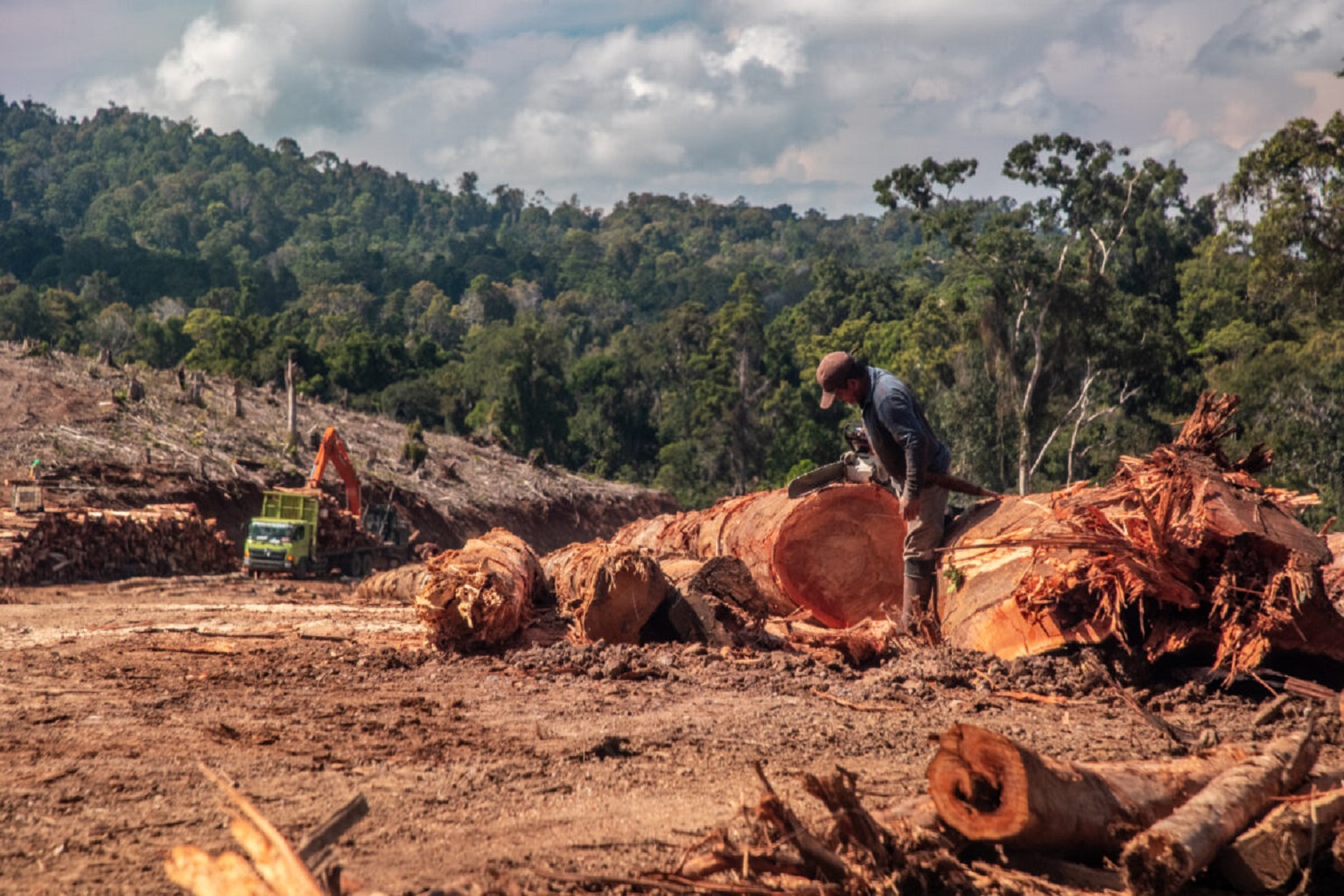 A clear-cut on an energy plantation concession in Indonesia to supply wood pellets for South Korea. The new report drew on examples of SBP sustainability certification and alleged forest degradation by the biomass industry in Canada. But it also raised concerns about SBP’s performance in biomass-exporting countries like Vietnam and Indonesia, jurisdictions with weaker legal and institutional safeguards. Asia is a region currently targeted for SBP certification expansion.