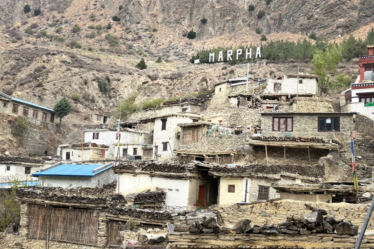 Lower-Mustang-development-9