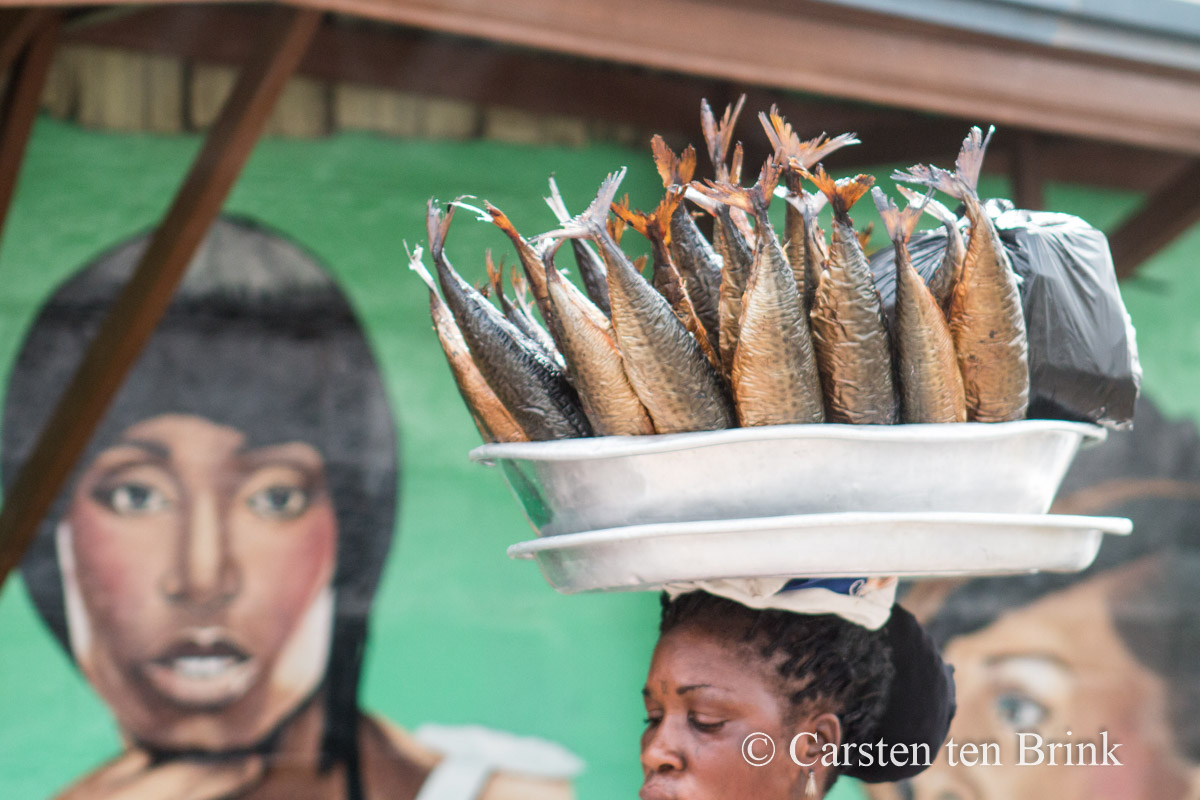 A fish vendor in Accra in 2017. Image by Carsten Ten Brink via Flickr (CC BY-NC-ND 2.0)