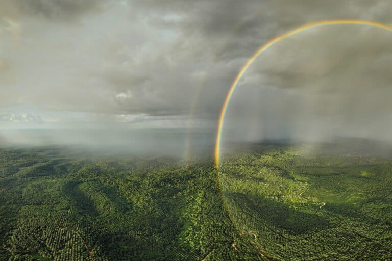 Rainbow over Jambi, Indonesia. Photo by Rhett Ayers Butler.