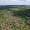 restored area aerial image