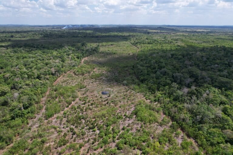 restored area aerial image