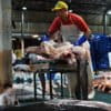 Shark meat is prepared for distribution at CEAGESP in São Paulo city,