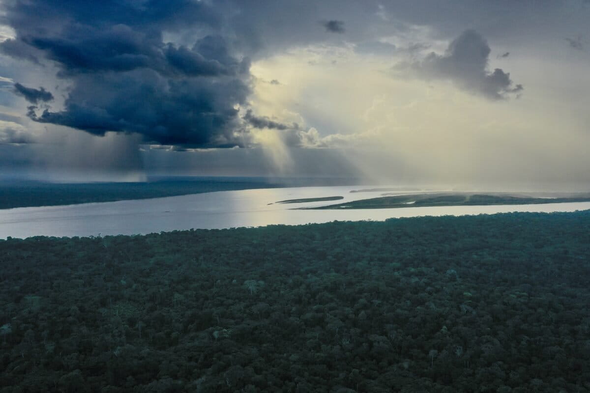 Deforestation is killing people by raising local temperatures