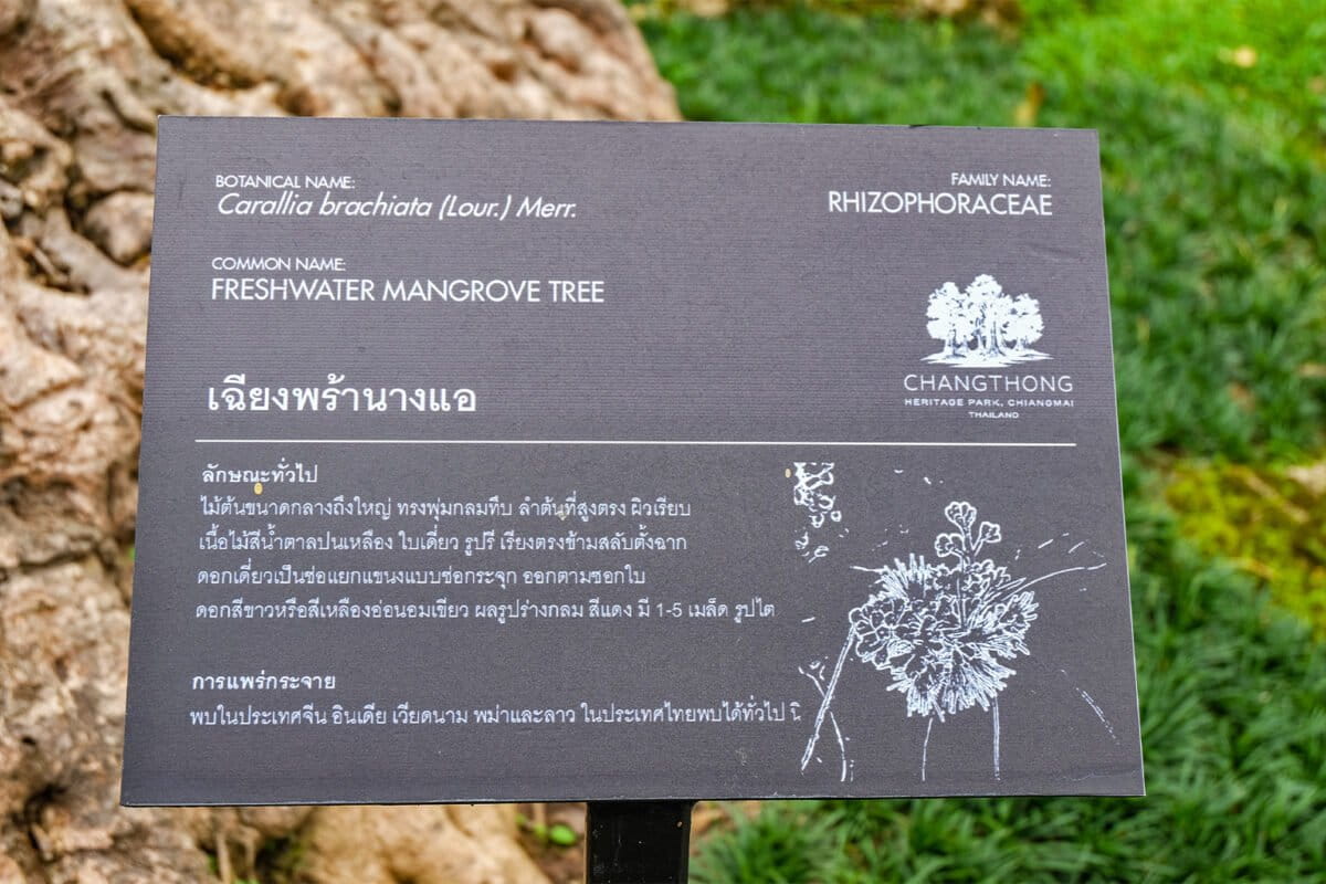 4-Trees-are-clearly-labelled