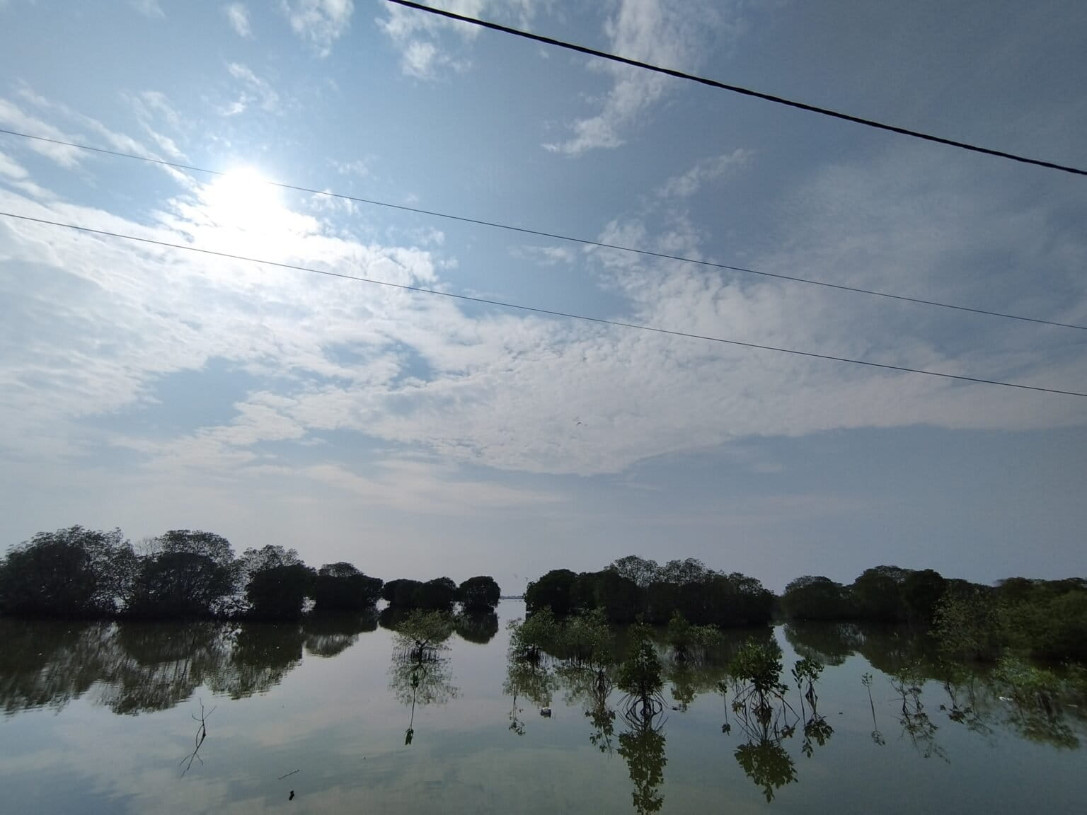 Several parties have criticized the National Aquaculture Project (PSN) for threatening the mangrove ecosystem and adding to the burden on the coast.