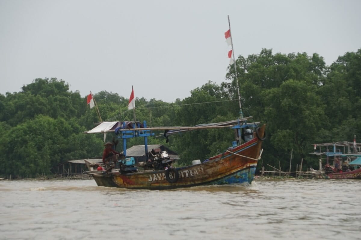 West Java's coastal mangrove forests serve as a natural coastal barrier and a lifeline for fishermen who catch marine life from the mangrove ecosystem. Will these remaining mangrove ecosystems be displaced by the National Strategic Project (PSN) for the revitalization of fishponds?