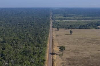 Soy farms in Belterra in the Brazilian Amazon’s Pará state. Image © Leo Correa/AP Photo.