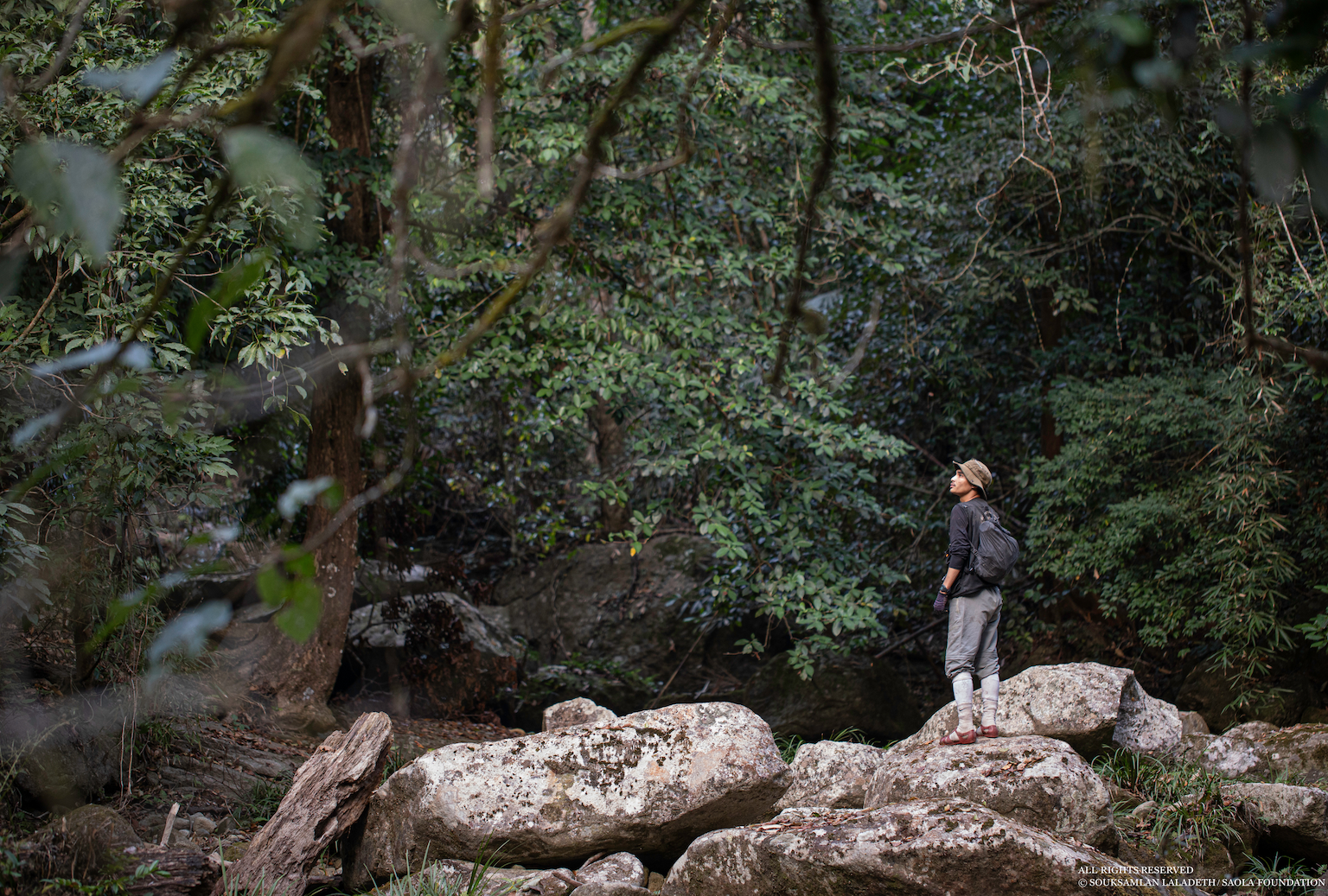 saola tracking team