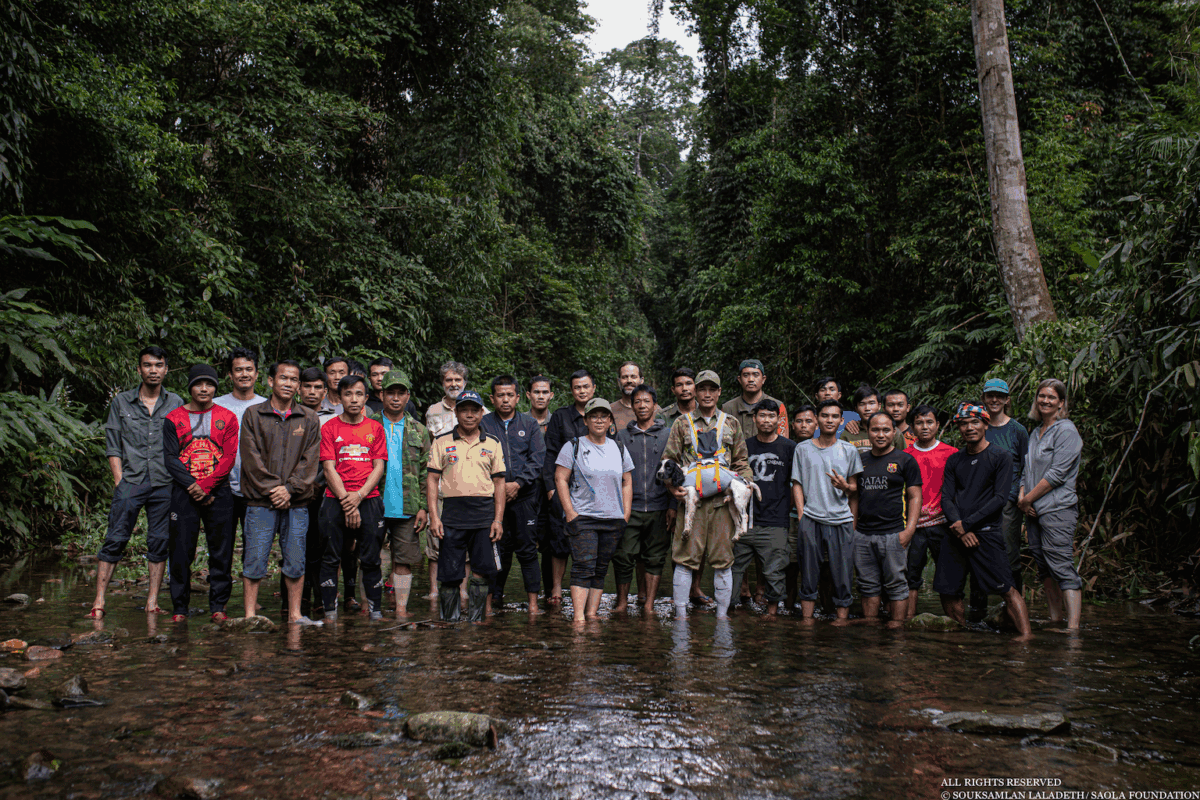 Saola Foundation team