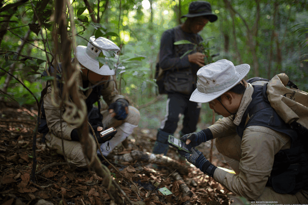 Field team