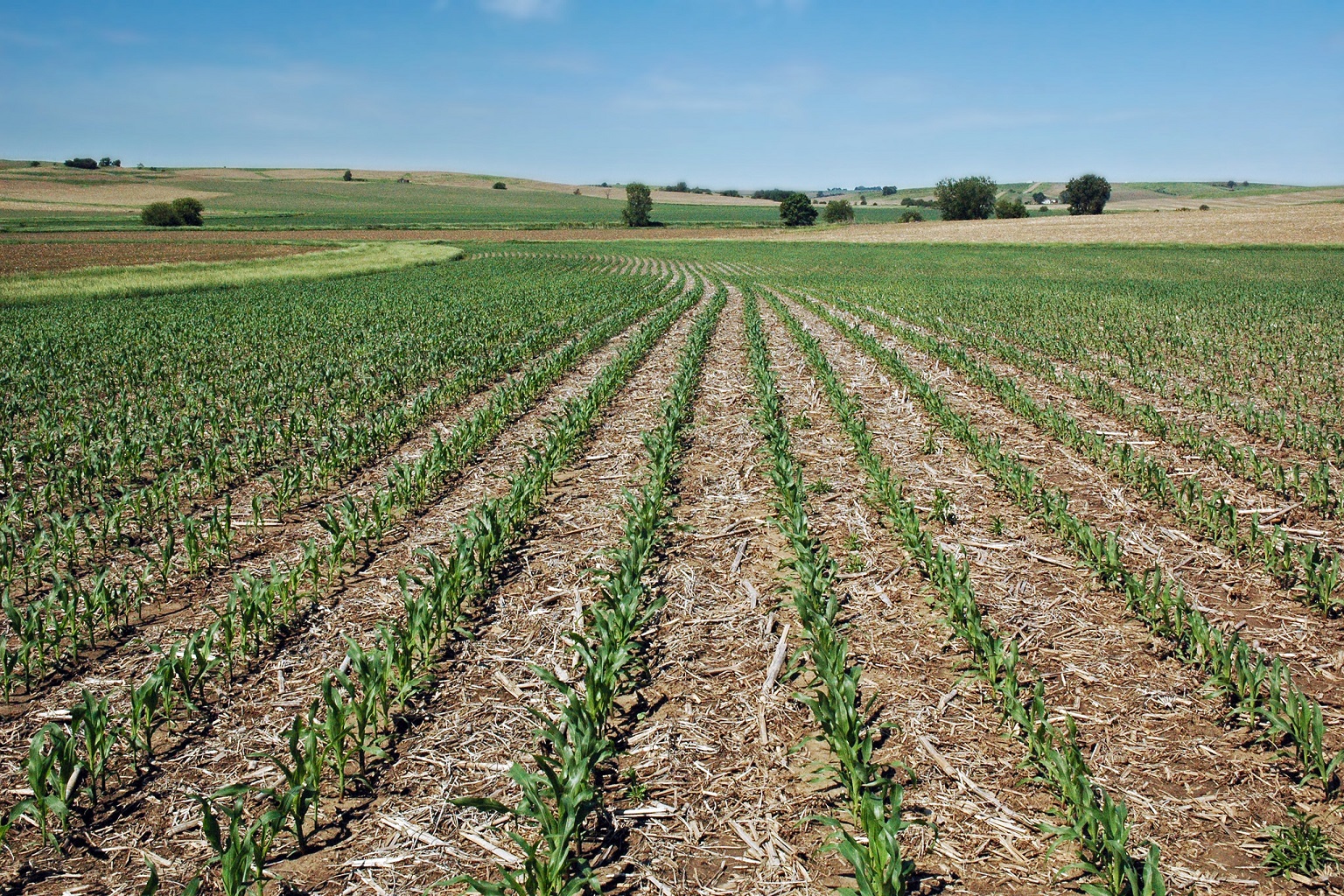 Climate-smart agricultural practices, such as leaving crop residue on the field after harvesting, can increase carbon storage by adding organic matter to the soil. Crop residue also protects the soil against erosion.