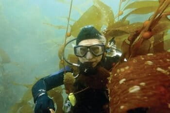 Author David Helvarg among the kelp stipes off Anacapa Island in southern California’s Channel Islands.