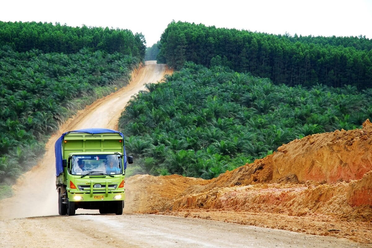 The EU proposes delaying anti-deforestation law, again