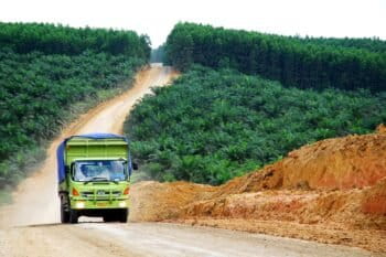 A palm oil plantation in Indonesia. Market leakage — sellers shifting EU-bound commodities to other less regulated markets — could undermine the effectiveness of the EUDR in some supply chains.