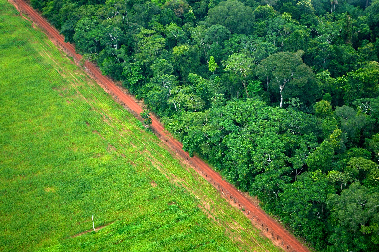 Forest-agriculture frontier in Brazil. The EUDR aims to reduce deforestation linked to a range of agricultural commodity products in the EU’s supply chain. Experts warn that it could come with multiple unintended consequences.