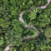 Rainforest in the Western Amazon. Image by Rhett Ayers Butler