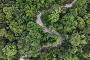 Rainforest in the Western Amazon. Image by Rhett Ayers Butler