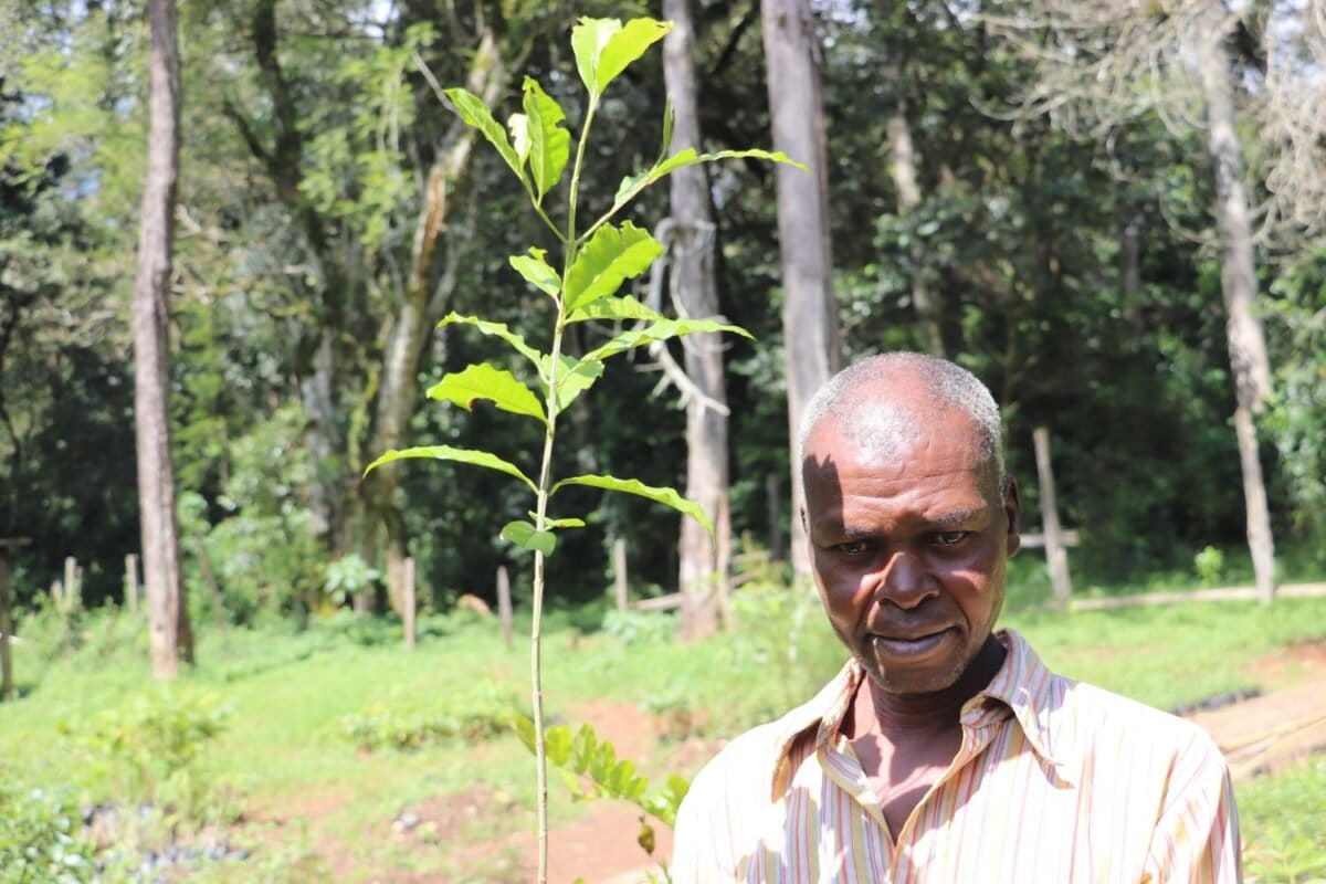 Kenya’s PELIS trades biodiversity for livelihoods and tree cover gains