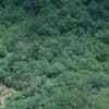A structure built by one of the isolated communities in Loreto, Peru. Image courtesy of ORPIO