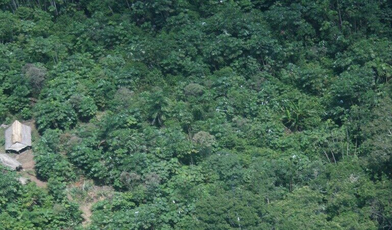 A structure built by one of the isolated communities in Loreto, Peru. Image courtesy of ORPIO