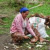 A Halmahera woman peeling coconuts for copra.