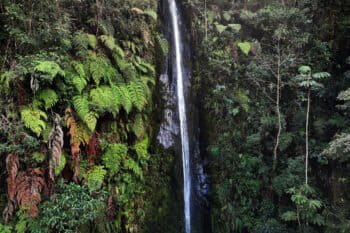 Waterfall in the Upper Amazon. Image by Rhett Ayers Butler