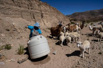 Vilma de Callata, 45, draws water for her animals in Tusaquillas, Jujuy Province, Argentina, Sunday, April 23, 2023. Her native Kolla people have spent centuries climbing deep into the mountains of northern Argentina in search of a simple substance: Fresh drinking water. Image by Photo/Rodrigo Abd.