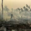 In this Sep. 26, 2017 photo released by Ibama, the Brazilian Environmental and Renewable Natural Resources Institute, members a firefighter fighta a forest fire affecting Porquinhos Indigenous lands in Maranhao state in Brazil's Amazon basin. Image by Felipe Werneck/Ibama via AP.