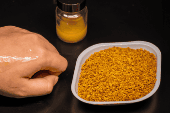 Pollen-based sunscreen applied to skin pictured alongside raw camellia pollen. Image courtesy of NTU Singapore.