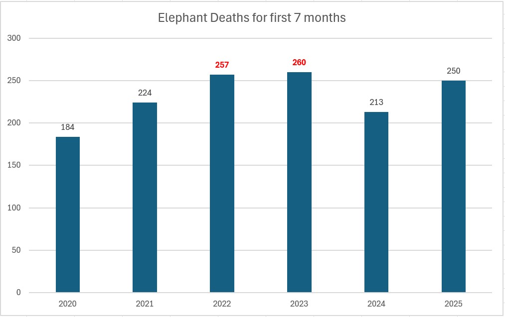 Elephant death records in the January-July period from 2020-2025. Source: Sri Lanka Department of Wildlife Conservation