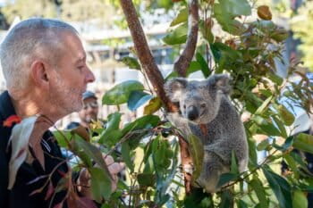 Lead vaccine researcher Peter Timms with a koala. Image courtesy of UniSC Australia.