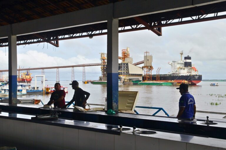 Seen through Santarém’s fish auction: ocean-faring vessel being loaded at the Cargill soy terminal.