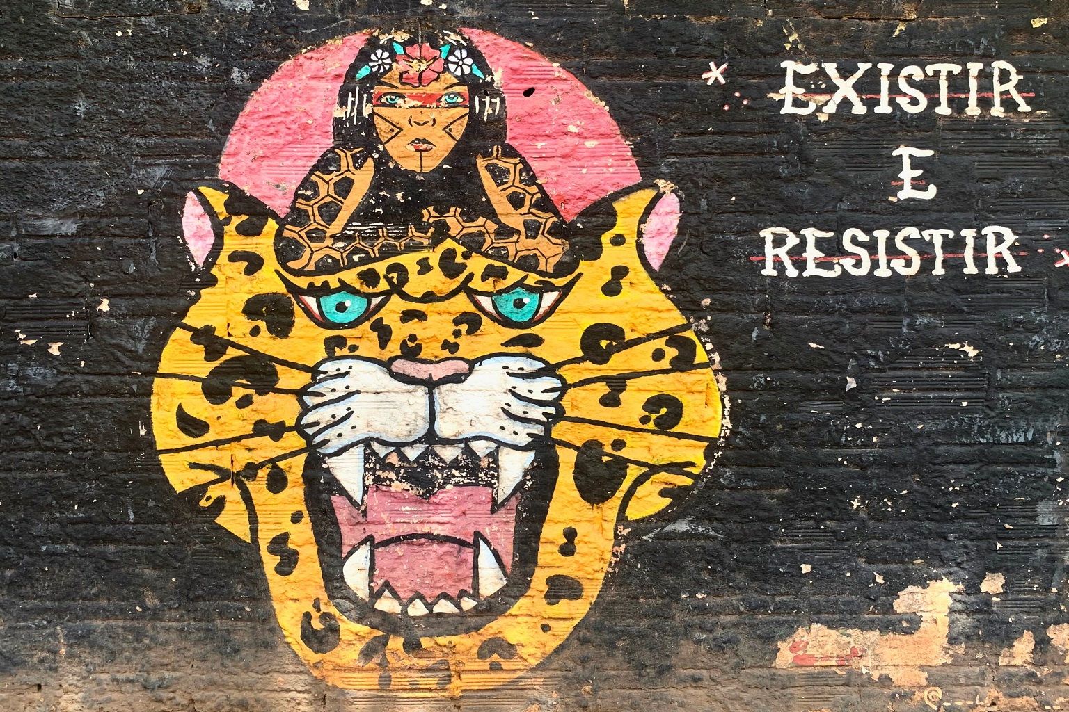 Existir e resistir (“To exist and resist”): Indigenous-themed graffiti near the Cargill soy terminal.